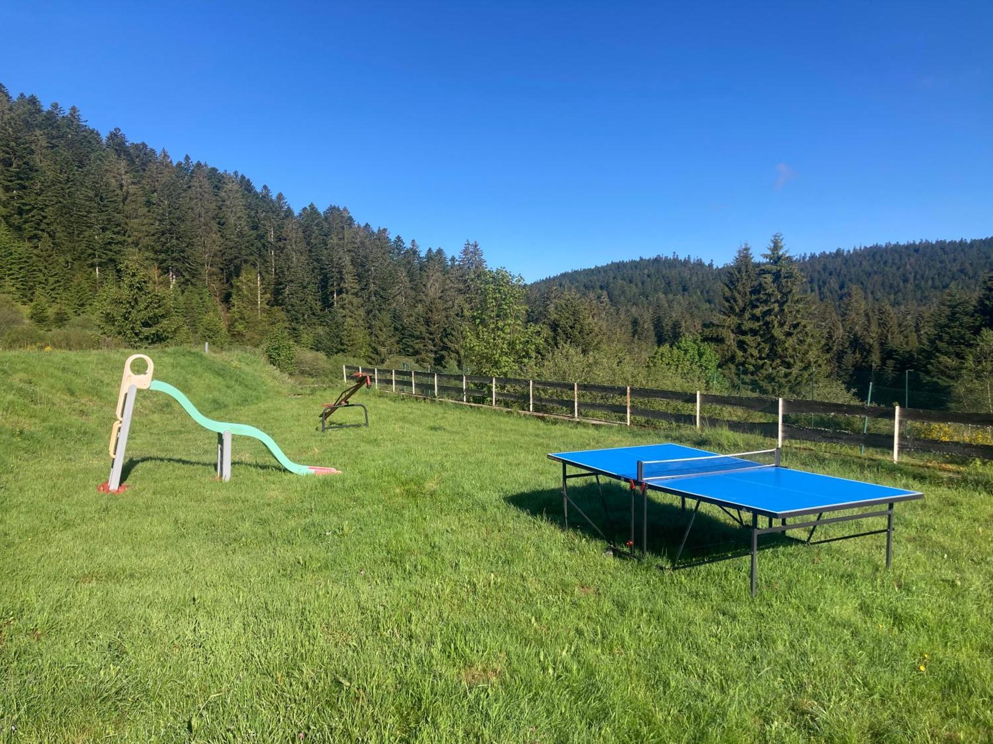 Apartamento Le Perchoir- Grand Valtin 6 Pers Ban-sur-Meurthe-Clefcy Exterior foto
